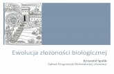 Krzysztof Spalik Zakład Filogenetyki Molekularnej i Ewolucji