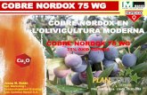 NORDOX 75 WG - Agronegocios