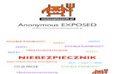 Piotr Konieczny ( ) - Ataki DDoS na rządowe serwery