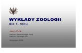Zoologia 01 2008 - paleo.pan.pl .popularne pojmowanie zwierzat: organizmy cudzo½ywne zdolne do ruchu