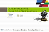 Litwa, إپotwa, إپotwa, Estonia_konspekt dla uczestnikأ³w...آ  Litwa, إپotwa, Estonia â€“ e-commerce